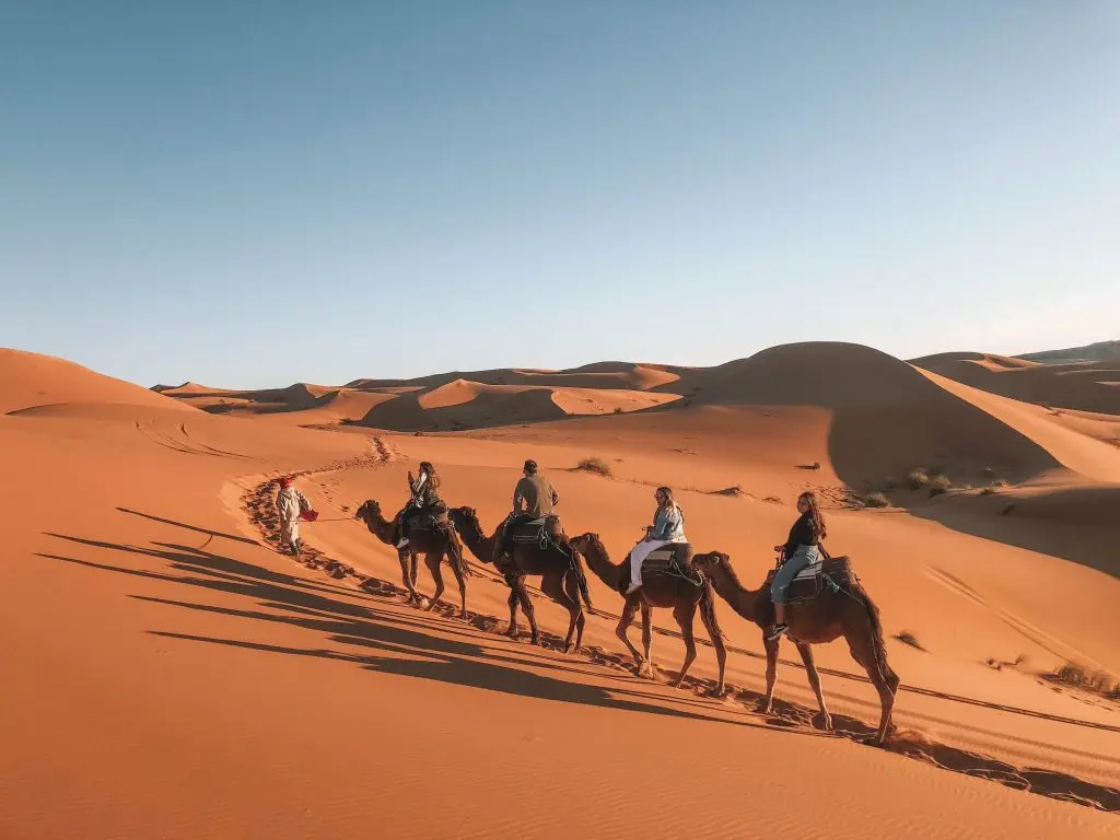 Deserto do Saara com camelos