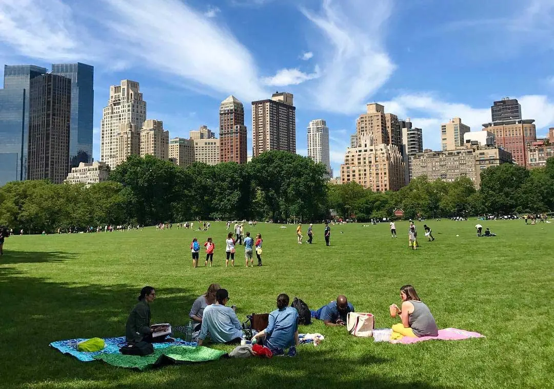 Pessoas fazendo piquenique no Central Park com skyline ao fundo